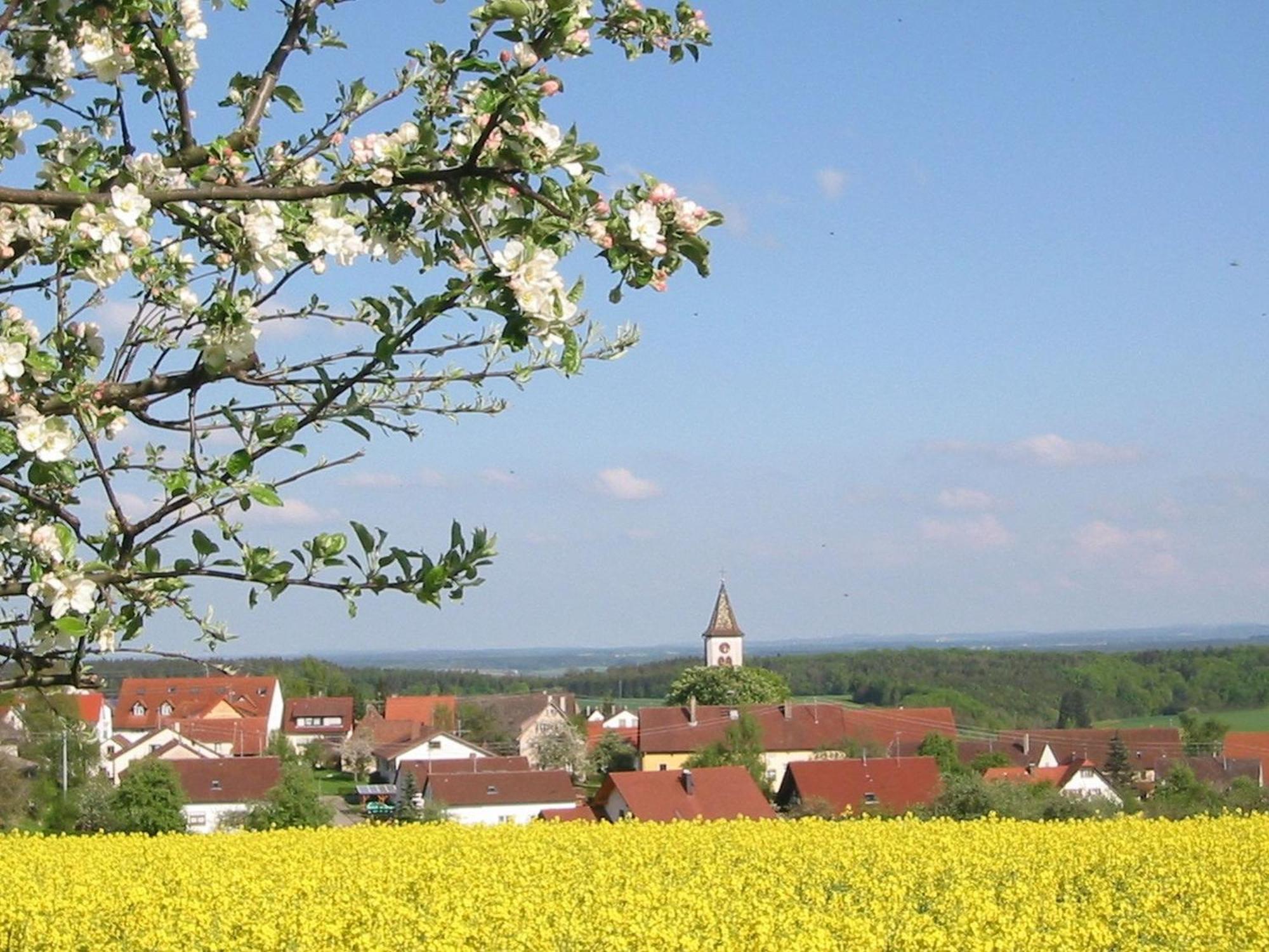 فيلا Kleine Auszeit Thalheim  المظهر الخارجي الصورة